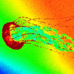 ...L'ESSERE AMICI !!!...