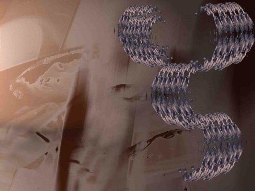 Arm joint of gold 17000$ Arm joint of gold 17000$