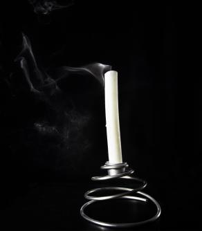 Morde la mano al padrone