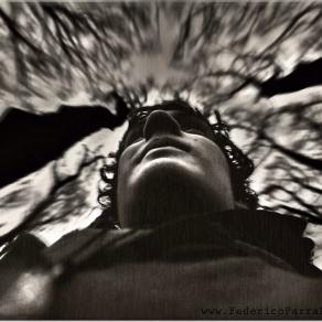 Il ragazzo che voleva piantare una foresta