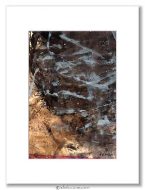 COMPOSIZIONE COLORE N° 11