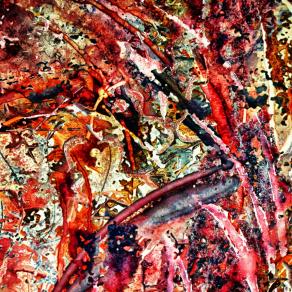 The strange encounters of life