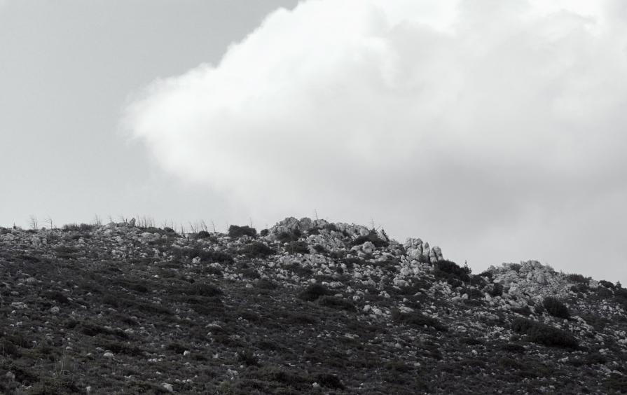 MORE THAN EVER Buffavento 32