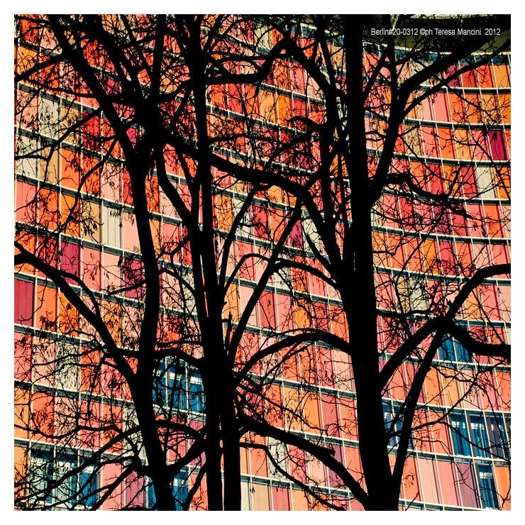 Berlin#20-0312 - Albero in controluce