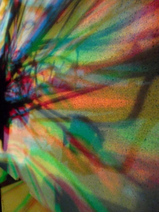 I COLORI DELLA BIODIVERSITÀ