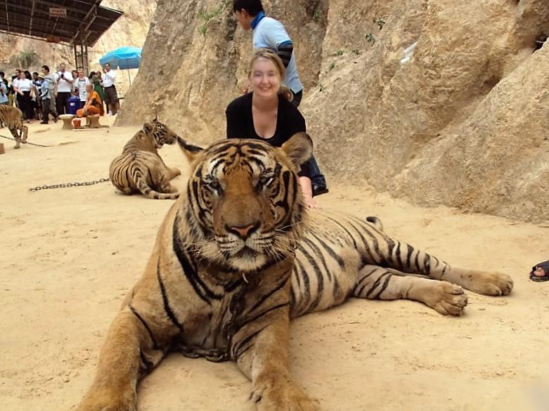 E poi capisco di sapere !!!