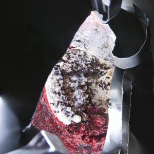 PARTICOLARE PARTICOLARE