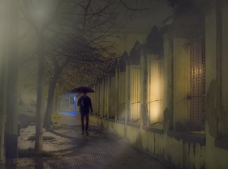 A spasso tra la nebbia