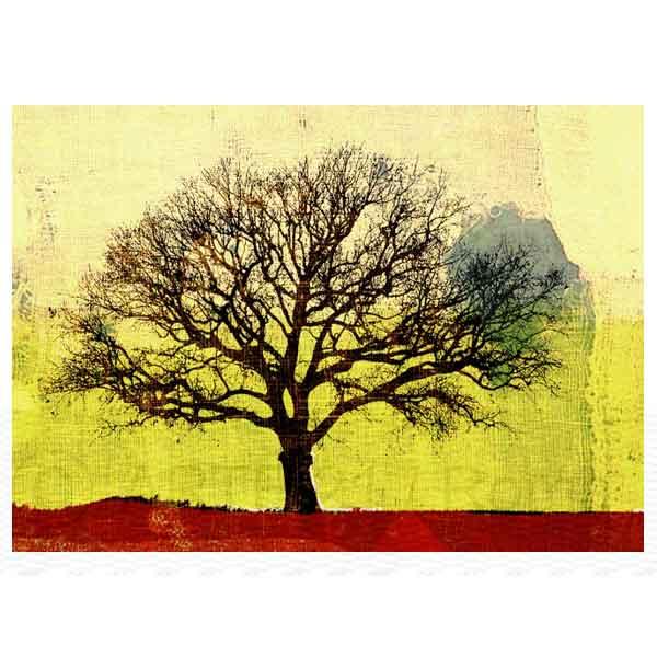 Quadri di Paesaggi: La Quercia Quadri di Paesaggi: La Quercia