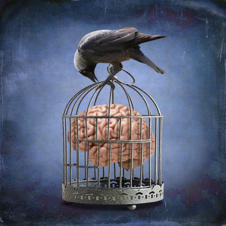 Mind is lie - Symbols and contradictions