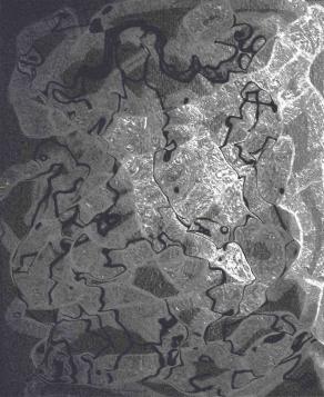 Trump on 2 camels - weapons as toys