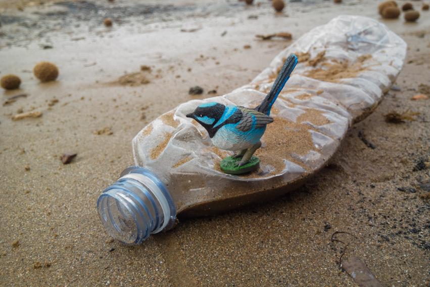 Habitat_project_backstage 10