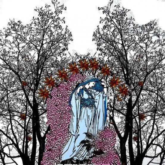 FEMME ARBRE ET DENTELLES FEMME ARBRE ET DENTELLES