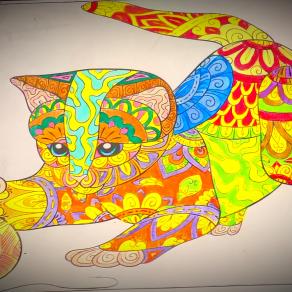 IL GATTO MACCHIATO...!!!