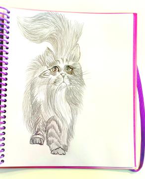 Immaginando di disegnare la mia Tempesta...!!!❤️❤️❤️