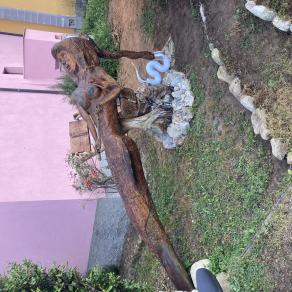 La sirena dei boschi