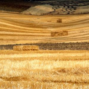 Italy. Basilicata. Potenza (2)