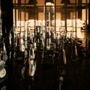 Contemporary Art Museum Rome  - li Chevalier monograph