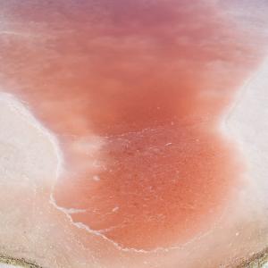 Alessandro Vicario / Contemplazioni Alessandro Vicario / Contemplazioni