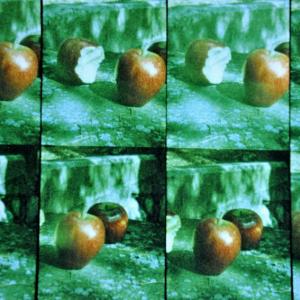 small & LARGE small & LARGE