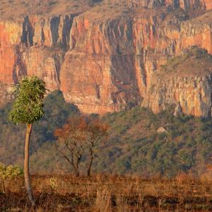 South Africa. Un/natural colors
