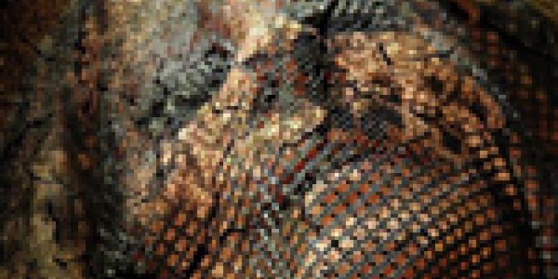 Figurative 2015 Art Exhibition Now Online Ready to View