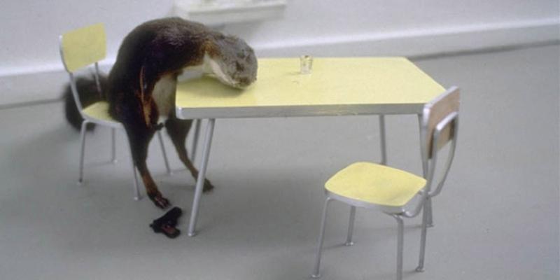 Beyond indifference, 