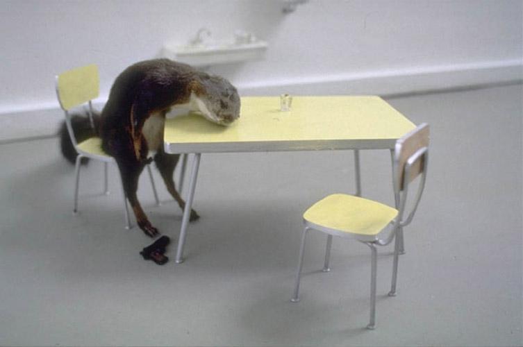 Oltre l'indifferenza, 