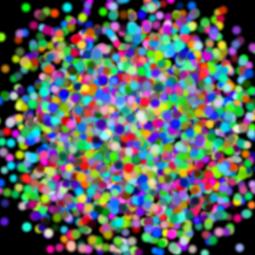 claRa apaRicio yoldi