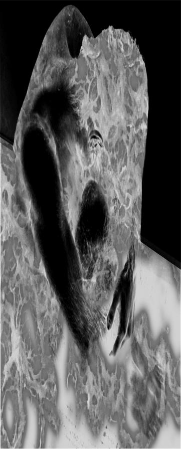 Dissolvenza Dissolvenza