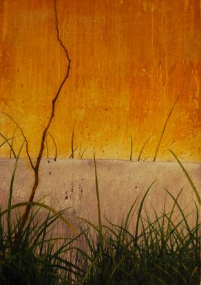 LANDSCAPE'S FRAME 2010-50X35CM