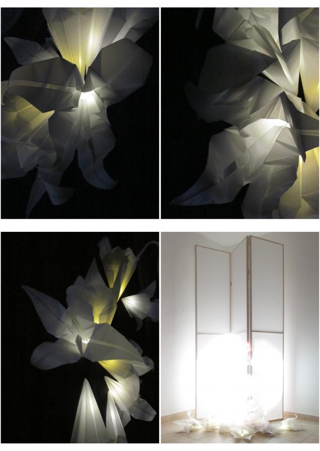 Effimeri Parati Effimeri Parati