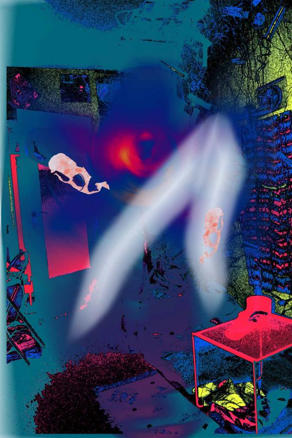 Zwillingen 8, Twinns 8, Birth 2