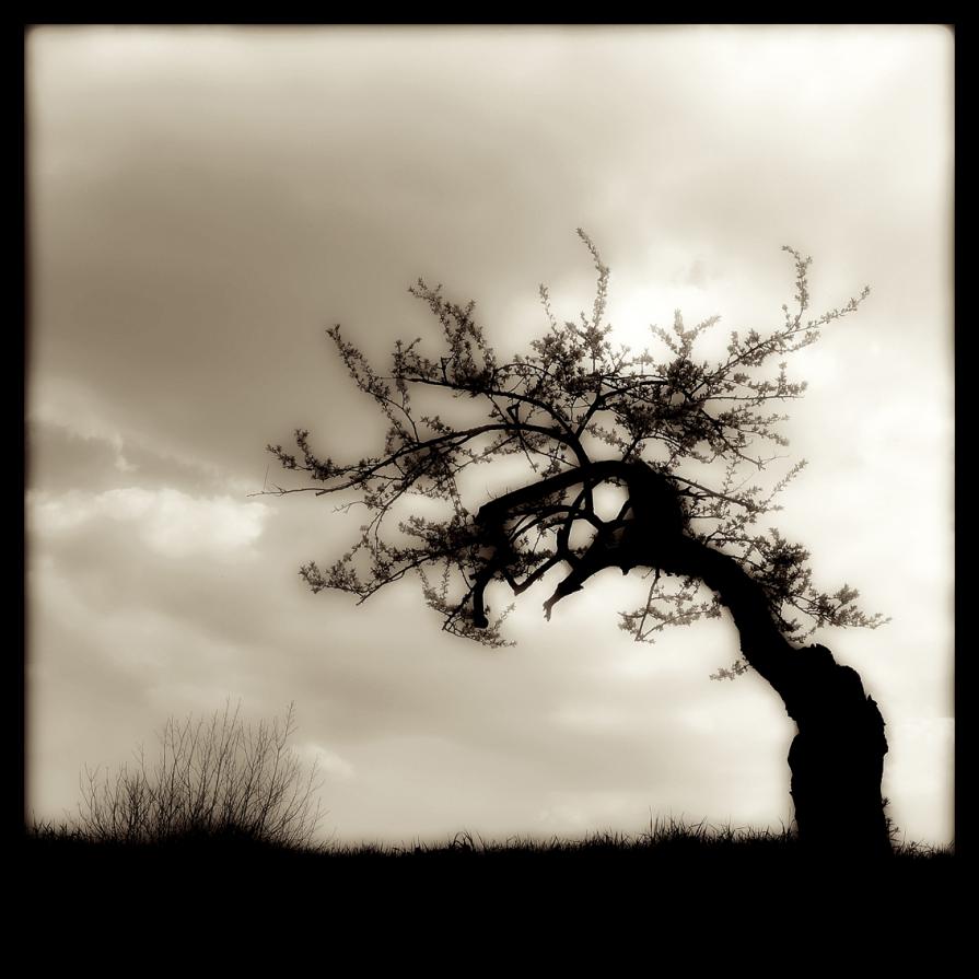 black and white 3 - photography by Augusto De Luca