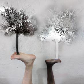 no al razzismo.  tutto puo' nascere dalla pianta..anche se tendenzialmente opposto.