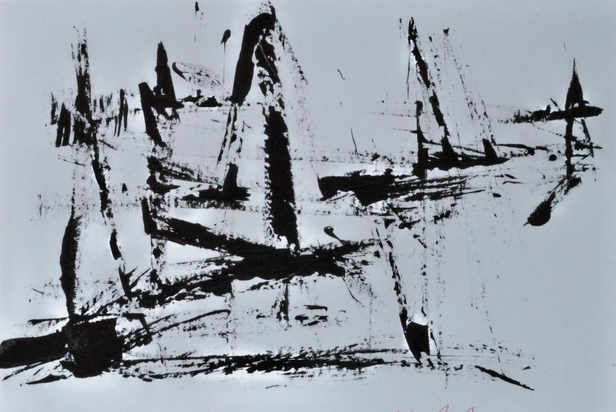 Regata n.1 - race n.1 Regata n.1 - race n.1