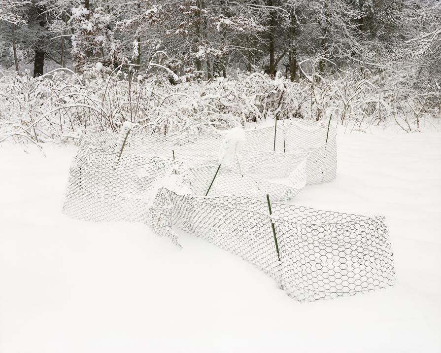 Sheep Pasture Gardens Sheep Pasture Gardens