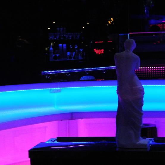 Elektra:"What is sex?Sex is an anatomical,medical and healthcare language.Everywhere in the World."E' femminista?Che sfigata!Retrograda!Autoritaria!