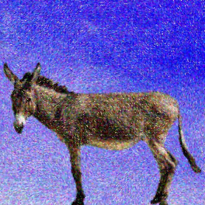 . . . ma ti basta un attimo !!!