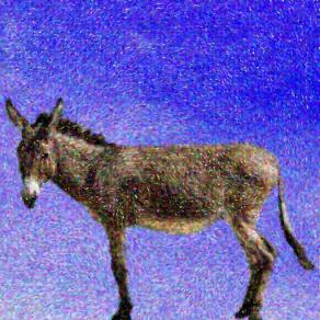 . . . ma ti basta un attimo !!!