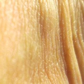 Brandelli Cut/anei (III)