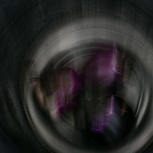 Perceptions. Aubergines Perceptions. Aubergines