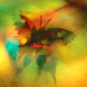 I colori della biodiversità -2017 I colori della biodiversità -2017