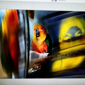 L irreale che diventa reale.