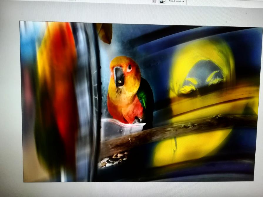 L irreale che diventa reale.