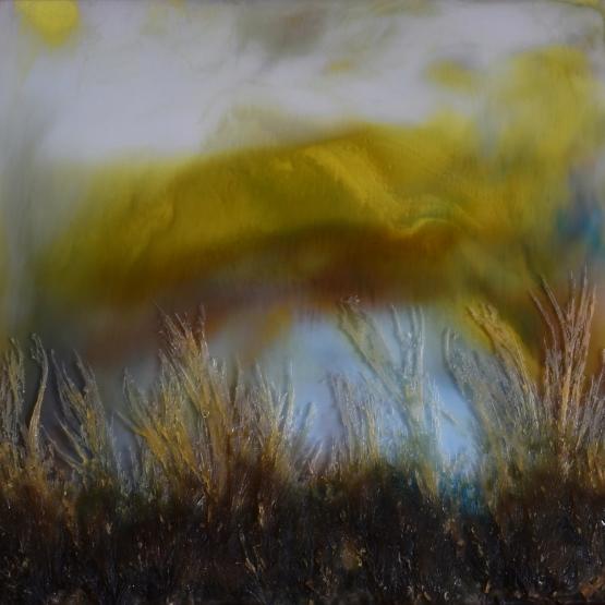 Afternoon view from the tea pavilion after the storm, when perhaps I wanted something stronger to drink