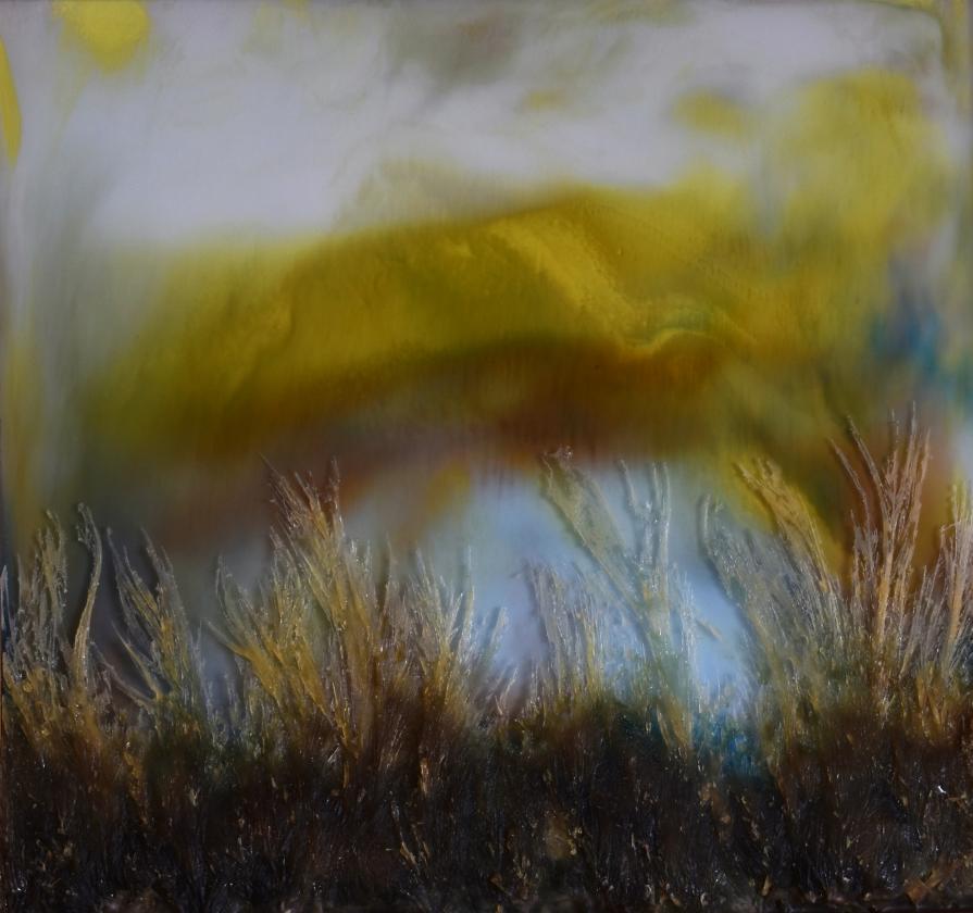 Afternoon view from the tea pavilion after the storm, when perhaps I wanted something stronger to drink