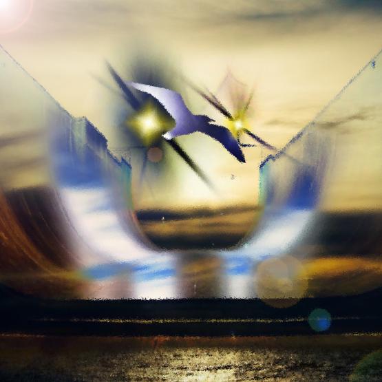 Un’infinita idea di libertà . . .!!! Un’infinita idea di libertà . . .!!!