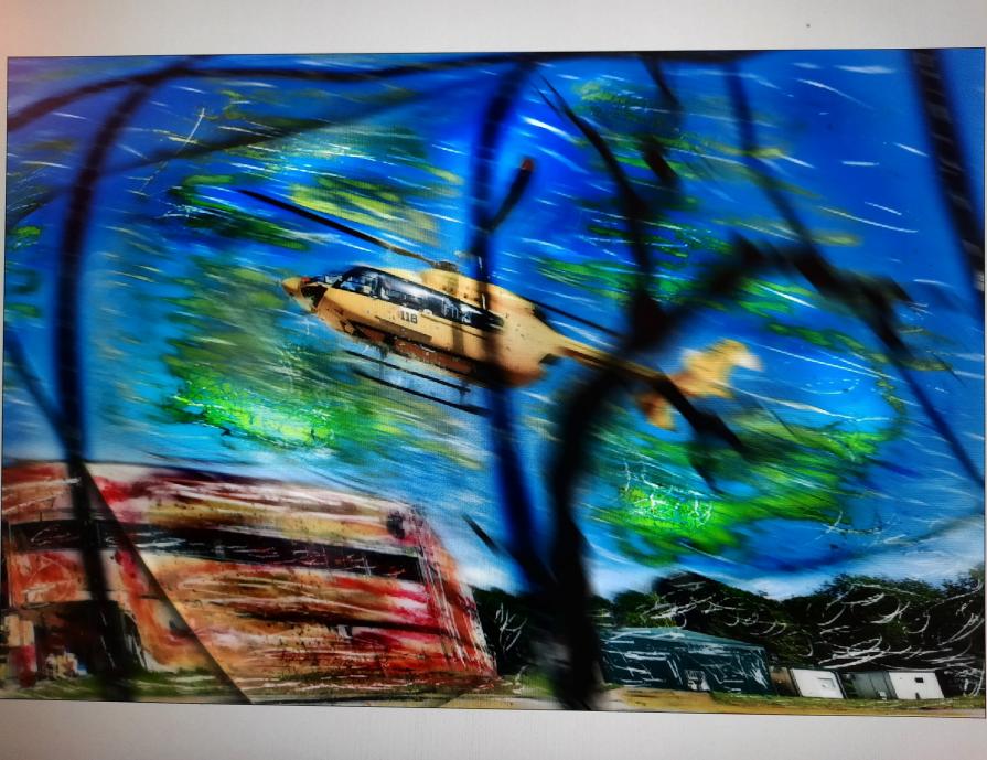 Vola la farfalla impazzita. 