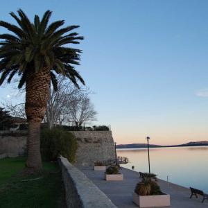 Primal Energy International Art Prize 2013/14